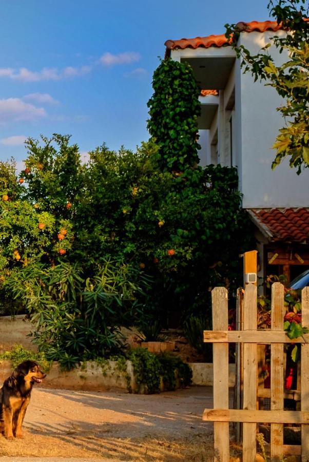 Vineyard Country House With Panoramic Seaview Alexandrópolis Exterior foto