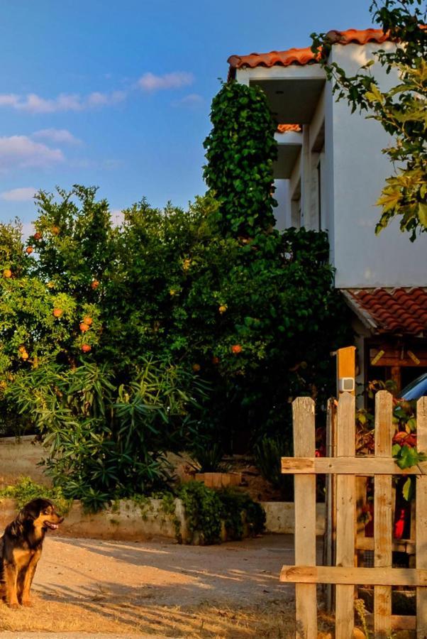 Vineyard Country House With Panoramic Seaview Vila Alexandroupoli Exterior foto