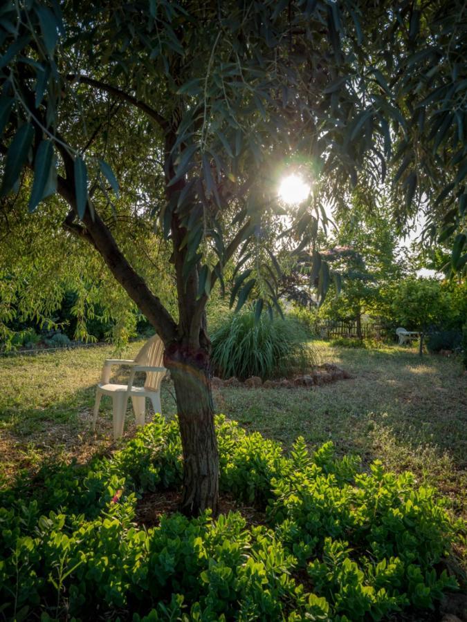 Vineyard Country House With Panoramic Seaview Alexandrópolis Exterior foto