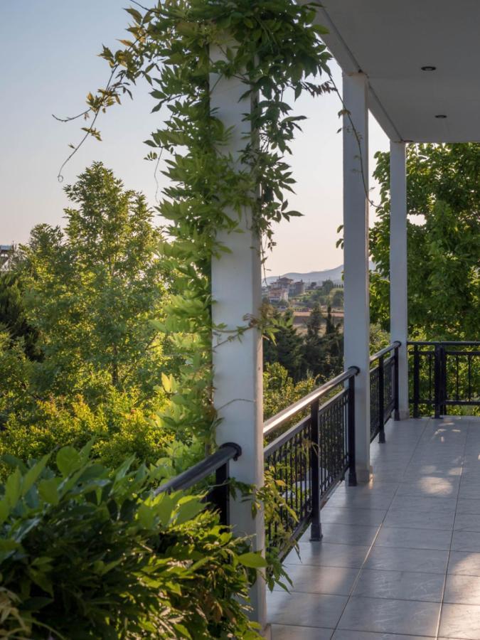 Vineyard Country House With Panoramic Seaview Alexandrópolis Exterior foto