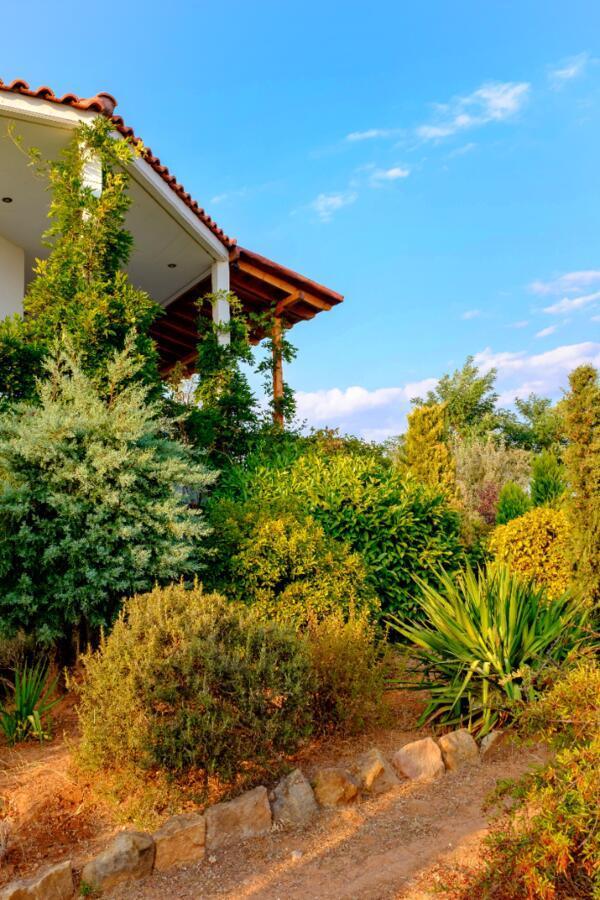 Vineyard Country House With Panoramic Seaview Alexandrópolis Exterior foto