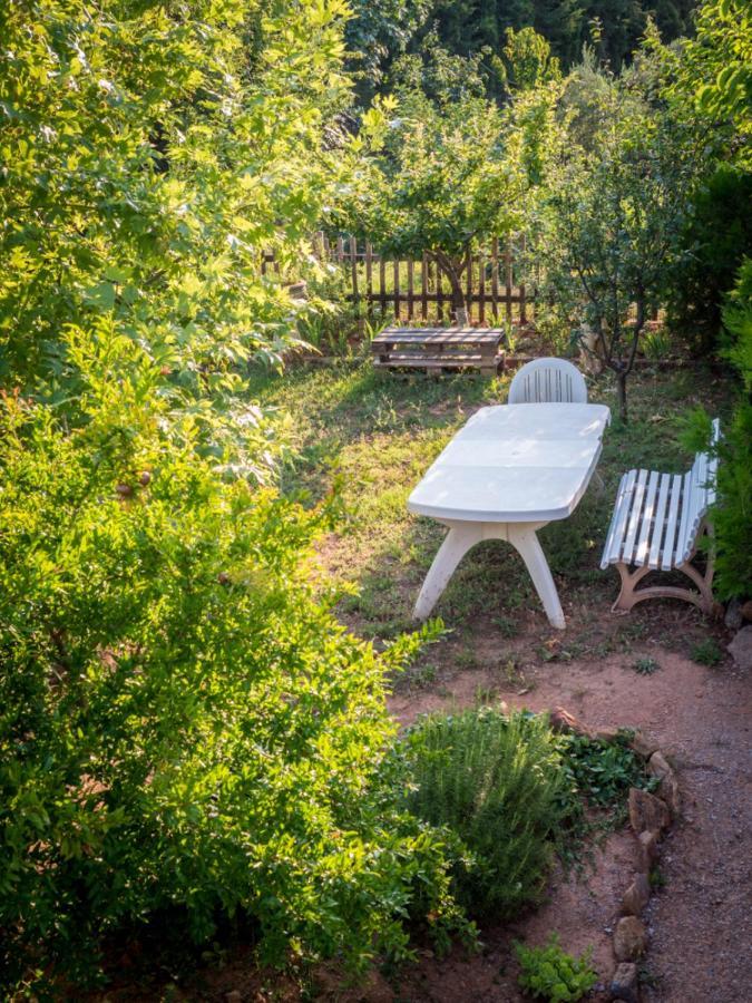 Vineyard Country House With Panoramic Seaview Alexandrópolis Exterior foto