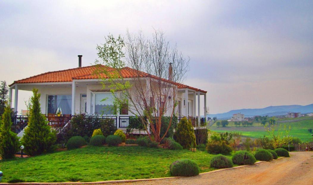 Vineyard Country House With Panoramic Seaview Alexandrópolis Exterior foto