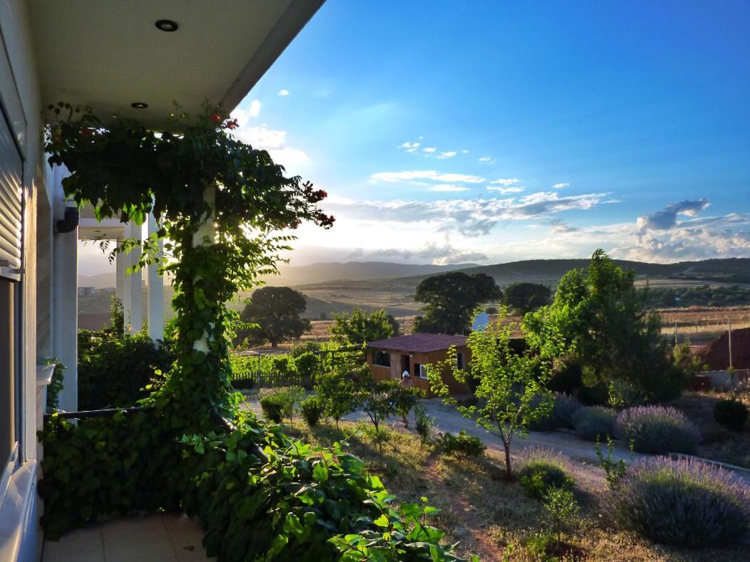 Vineyard Country House With Panoramic Seaview Alexandrópolis Exterior foto